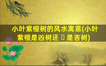 小叶紫檀树的风水寓意(小叶紫檀是凶树还 ☘ 是吉树)